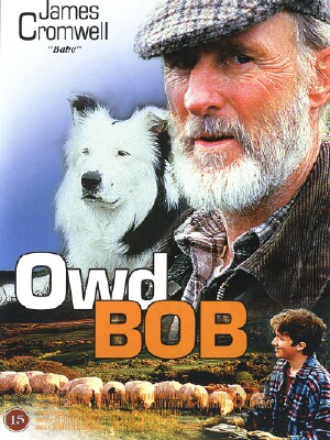 Owd Bob - Posters