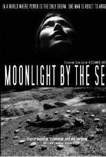 Moonlight by the Sea - Posters