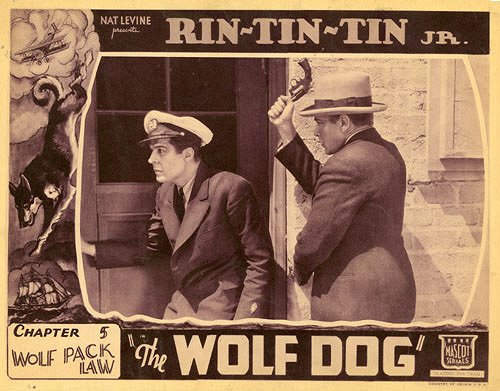 The Wolf Dog - Affiches