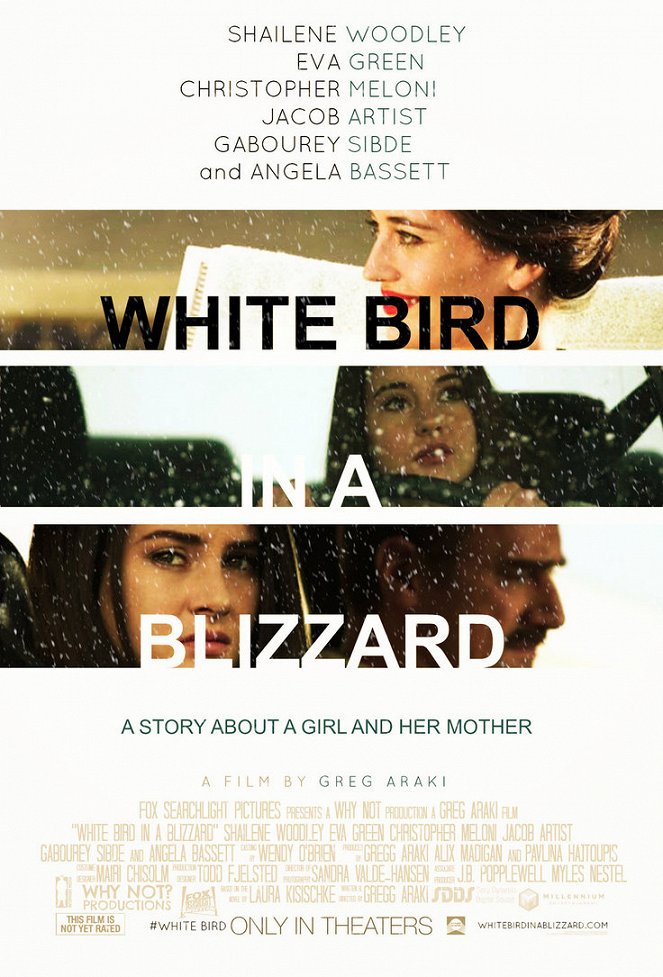 White Bird in a Blizzard - Julisteet