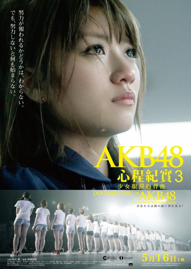 Documentary of AKB48: No Flower Without Rain - Carteles