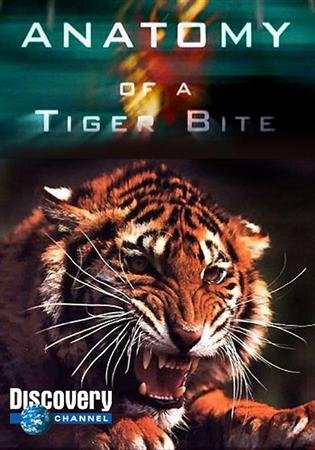 Anatomy of a Tiger Bite - Plakate