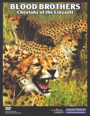 Cheetah Blood Brothers - Carteles