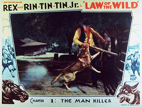 Law of the Wild - Affiches