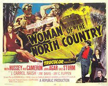 Woman of the North Country - Plakáty