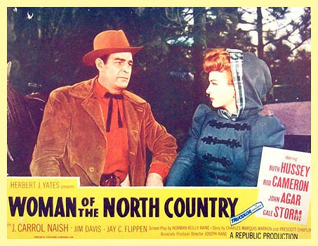 Woman of the North Country - Posters