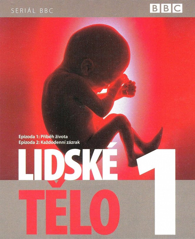 Lidské tělo - Plakáty