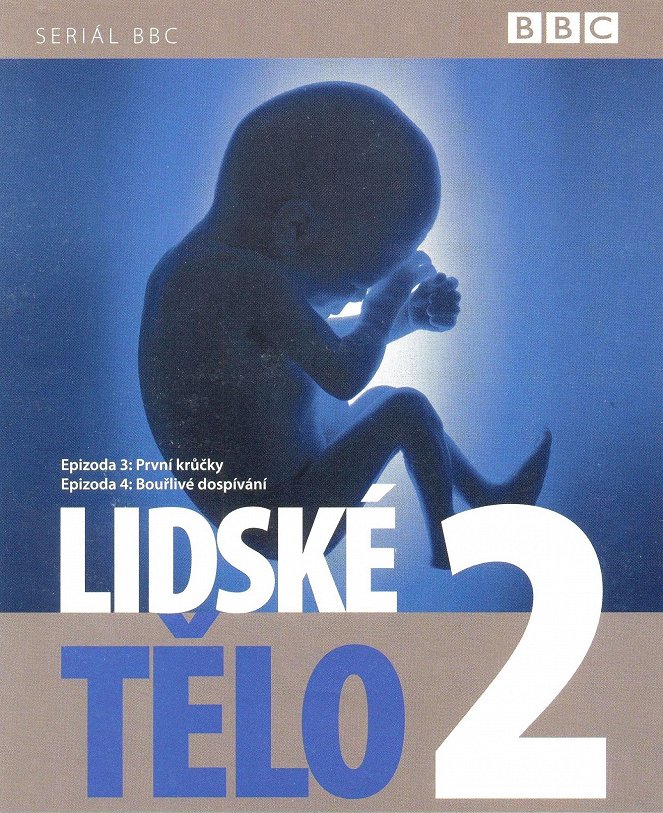 Lidské tělo - Plakáty