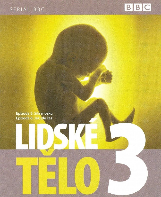 Lidské tělo - Plakáty