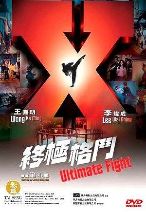 Ultimate Fight - Posters