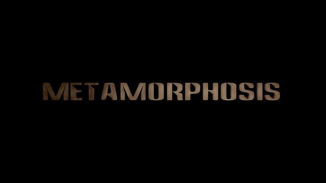 Metamorphosis - Posters