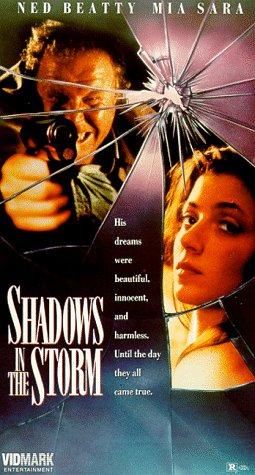 Shadows in the Storm - Affiches