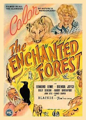 The Enchanted Forest - Carteles
