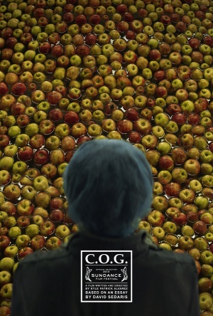 C.O.G. - Plakate