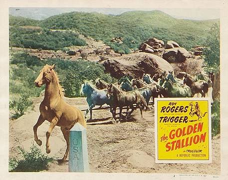 The Golden Stallion - Plakaty