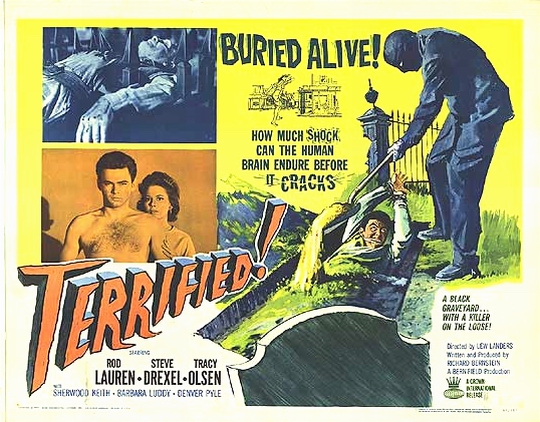 Terrified! - Posters