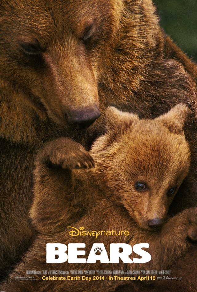 Medvědi - Plakáty
