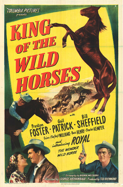 King of the Wild Horses - Affiches