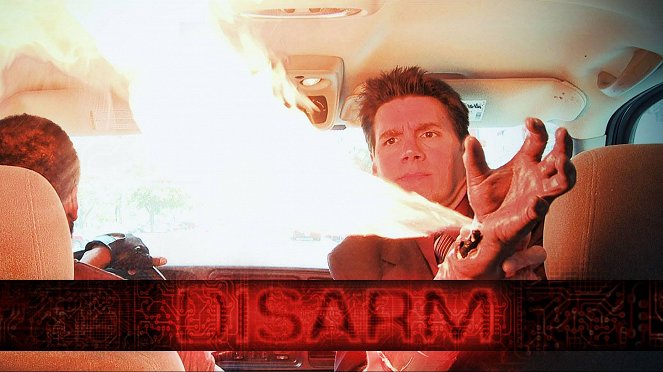 Disarm - Posters