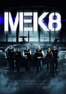 MEK 8 - Posters