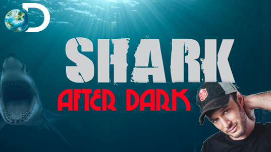 Shark After Dark - Posters