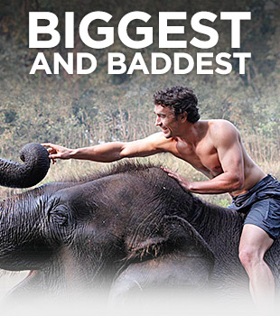 Biggest and Baddest - Posters