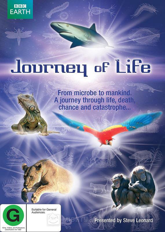Journey of Life - Posters