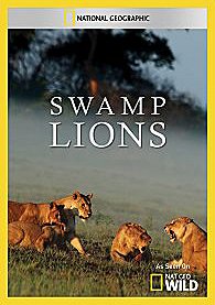 Swamp Lions - Posters