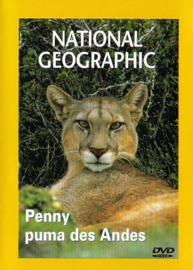 Puma - Unsichtbarer Jäger der Anden - Plakate
