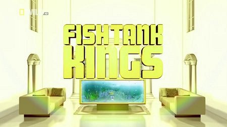 Fish Tank Kings - Posters