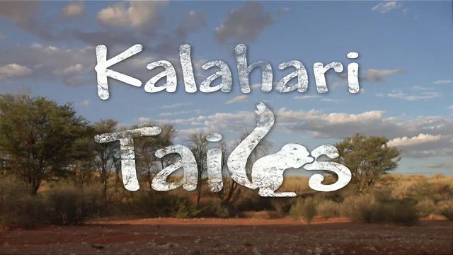 Kalahari Tails - Carteles