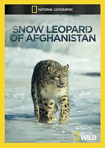 Snow Leopard Of Afghanistan - Affiches