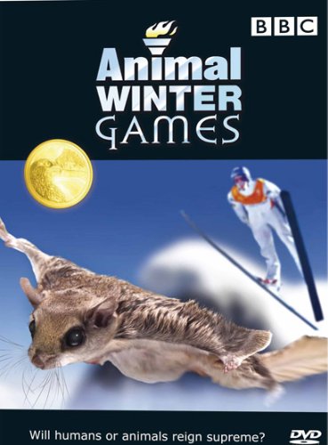 Zimní šampionát zvířat - Plakáty