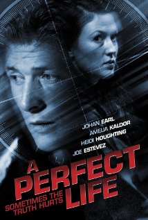 A Perfect Life - Posters
