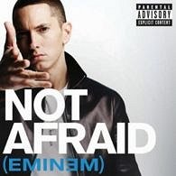 Eminem: Not Afraid - Carteles