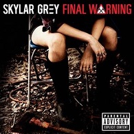 Skylar Grey: Final Warning - Cartazes