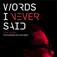 Lupe Fiasco feat. Skylar Grey - Words I Never Said - Cartazes
