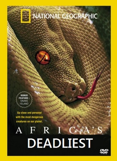Najgroźniejsze zwierzęta Afryki - Plakaty