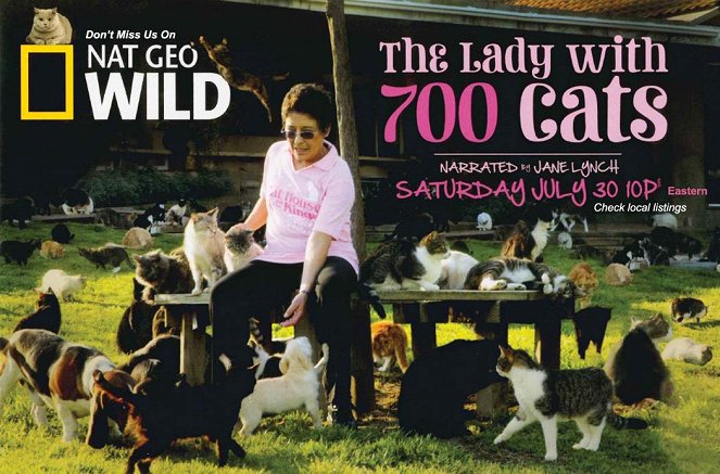 Dáma se 700 kočkami - Plakáty