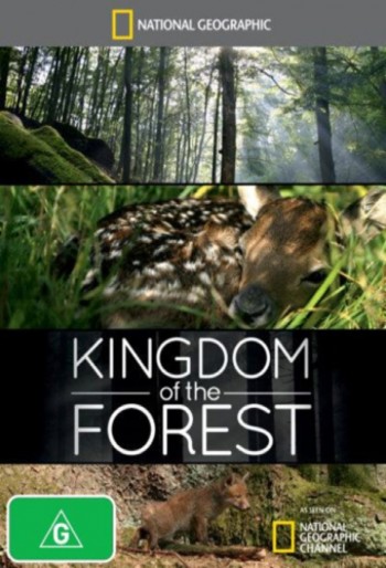 Království lesa - Plagáty