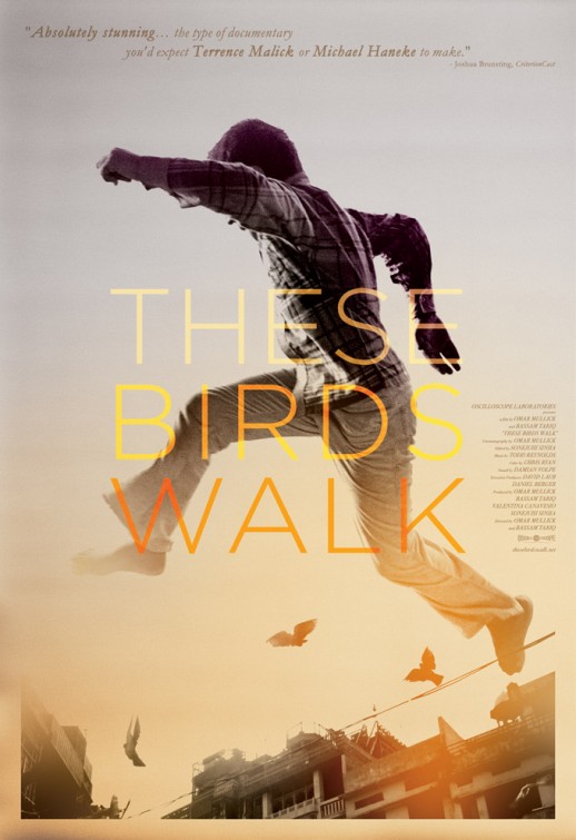 These Birds Walk - Plakátok