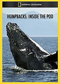 Humpbacks: Inside the Pod - Posters