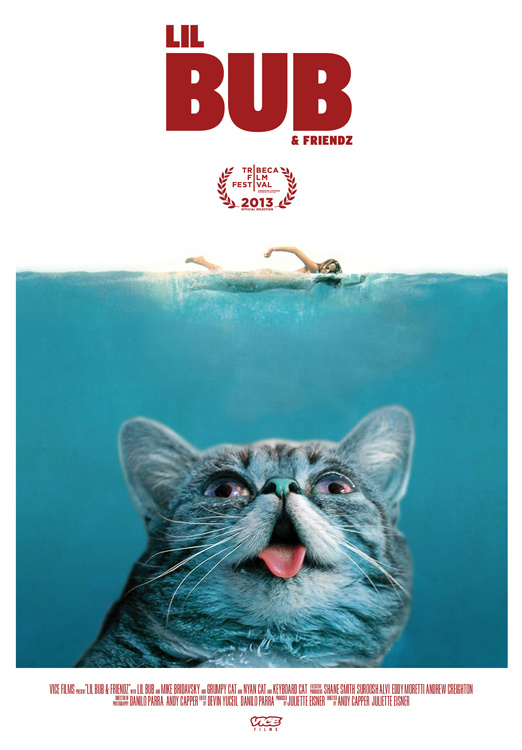 Lil Bub & Friendz - Plakátok