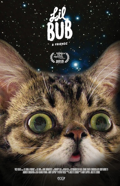 Lil Bub & Friendz - Plagáty