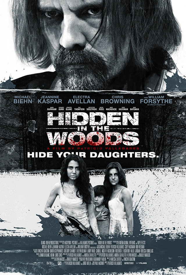 Hidden in the Woods - Affiches