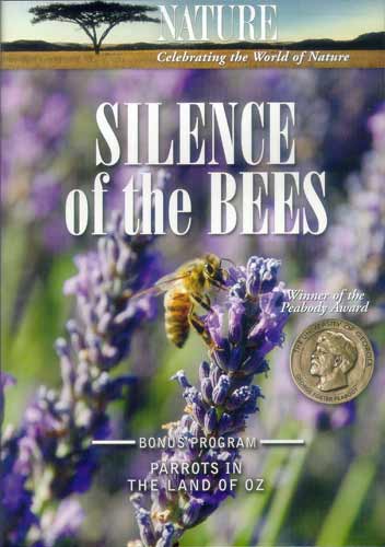 Silence Of The Bees - Carteles