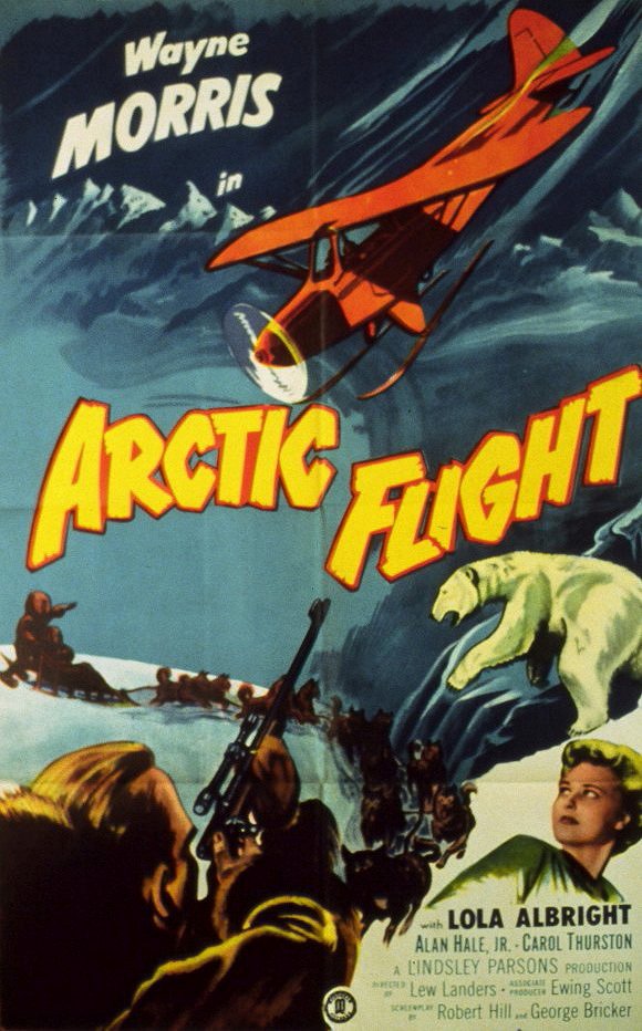 Arctic Flight - Posters