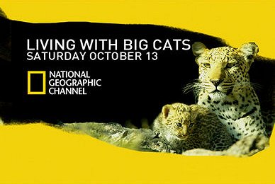 Living With Big Cats - Posters