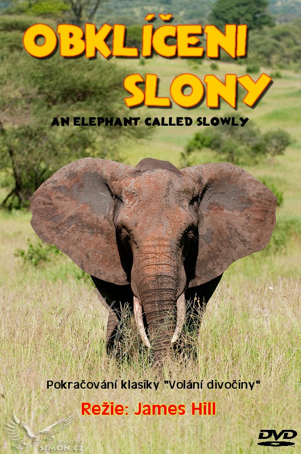 Obklíčeni slony - Plakáty