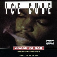 Ice Cube: Check Yo Self - Plakate